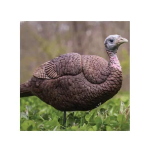 Primos Lil Gobstopper Hen Turkey Decoy, turkey hunting decoys, Primos turkey decoy, Lil Gobstopper Hen, turkey hunting gear, realistic hen turkey decoy, Primos hunting products, hen turkey decoy, hunting decoys, turkey hunting accessories, Primos Lil Gobstopper review, affordable turkey decoy, turkey hunting setup, lifelike hen turkey decoy, hunting with turkey decoys, Primos Hen decoy, turkey calling gear, spring turkey hunting, Primos Lil Gobstopper setup, decoy for turkey hunting, Primos Lil Gobstopper Hen review, hunting turkey decoys, Primos Gobstopper turkey hunting, best turkey decoys, turkey decoy hunting tips, Primos hunting gear.