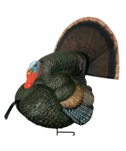 Primos Gobstopper Strutter Turkey Decoy, turkey hunting decoys, Primos turkey decoy, Gobstopper Strutter, turkey hunting gear, realistic turkey decoy, Primos hunting products, strutter turkey decoy, hunting decoys, turkey hunting accessories, Primos Gobstopper review, affordable turkey decoy, turkey hunting setup, lifelike turkey decoy, hunting with turkey decoys, Primos Strutter decoy, turkey calling gear, spring turkey hunting, Primos Gobstopper setup, decoy for turkey hunting, Primos Gobstopper Strutter review, hunting turkey decoys, Primos Gobstopper turkey hunting, best turkey decoys, turkey decoy hunting tips, Primos hunting gear.