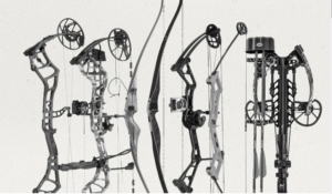 Bear Archery bows discount, buy Bear Archery bows on sale, discounted Bear Archery bows, Bear Archery bows deals, Bear Archery bows clearance, affordable Bear Archery bows, Bear Archery bows promotions, Bear Archery bows for less, Bear Archery bows bargains, Bear Archery bows sale online, best prices on Bear Archery bows, cheap Bear Archery bows, Bear Archery bows sale event, Bear Archery bows offers, Bear Archery bows shopping deals, Bear Archery bows discounts, top deals on Bear Archery bows, Bear Archery bows sale items, Bear Archery gear sales, Bear Archery bows price reduction